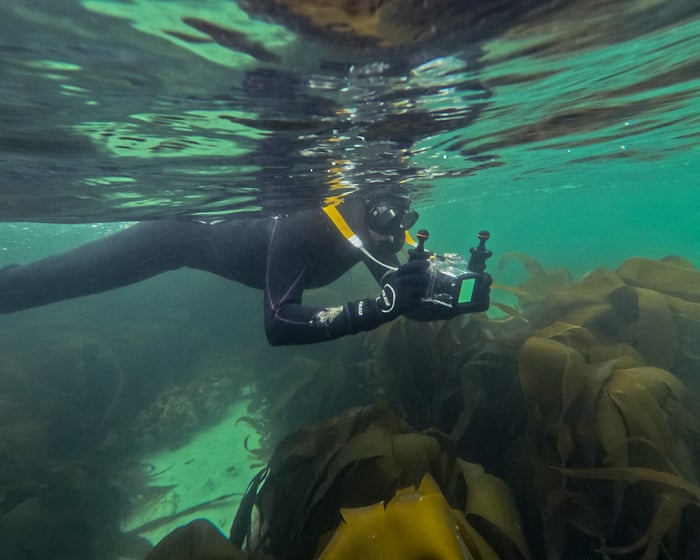 I'm completely hooked on snorkelling in Scotland. You get starfish beneath you and sea eagles soaring above – and honestly, the water isn't even that cold!