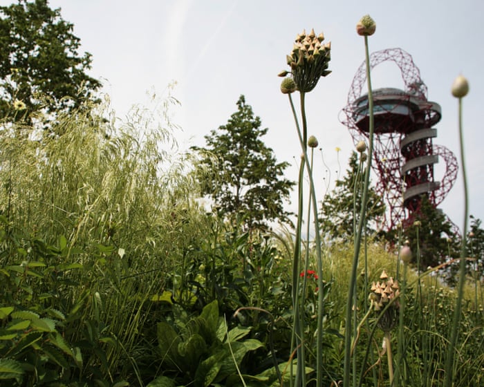 Research shows that half of UK local authorities still use pesticides in public areas.