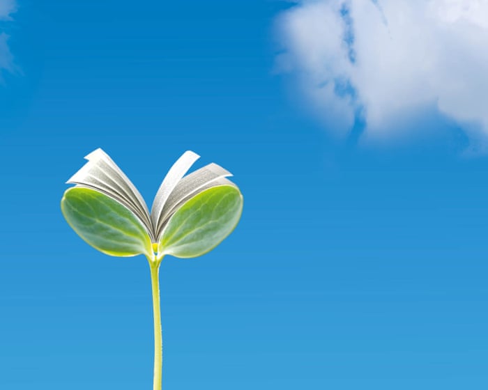 Ideas brillantes para el futuro: Por qué importa la ficción climática esperanzadora