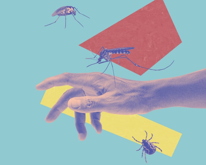 Bug bites can be itchy, painful, and annoying. Here are 14 simple expert tips to treat and prevent them.