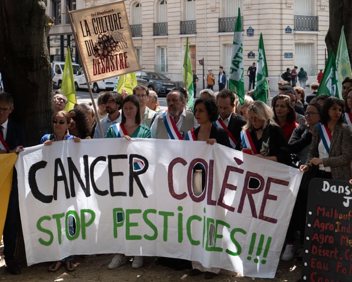O conselho constitucional da França bloqueia plano para reintroduzir pesticida proibido
