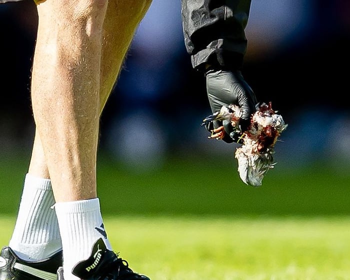 I’ve witnessed some awful things at football matches, but what happened on the pitch last week was the worst I’ve ever seen.