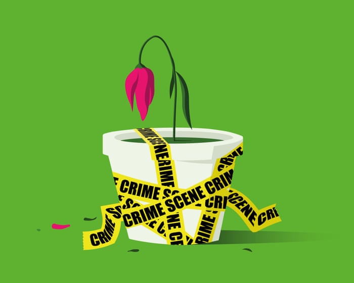 Çevre suçlarına cinayet kadar ciddi yaklaşmalı mıyız?