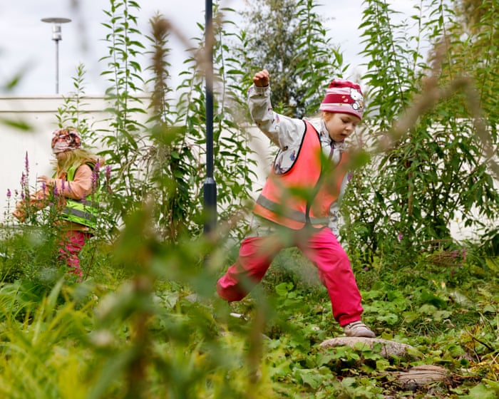 A bold move to introduce a forest into a preschool setting dramatically improved the children's well-being.
