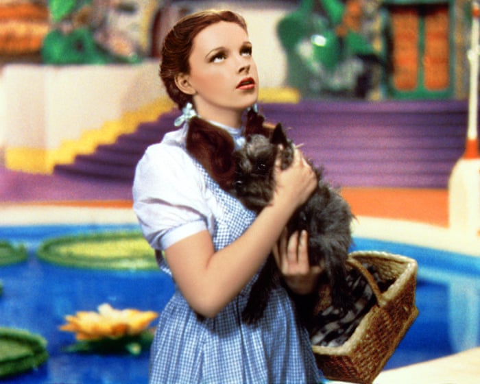 Wicked Forever: The Lasting Charm of The Wizard of Oz