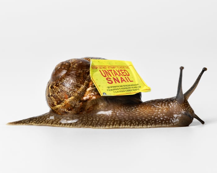 Is the snail farm donation the most audacious tax avoidance scheme ever?