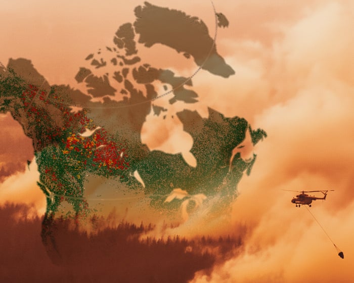 Mapping the global loss of forests due to wildfires
