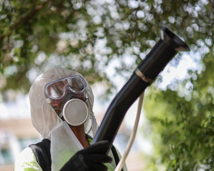 A painful tropical disease can now spread across most of Europe, according to a new study.