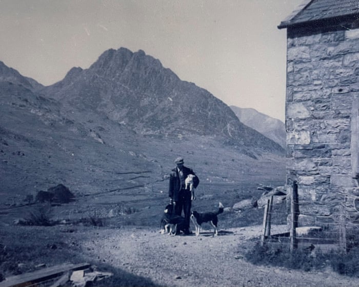 Where Duolingo falls short: how I learned to speak Welsh with my mother