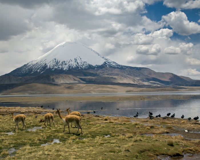 'Kast is similar to Trump': Chile's environmentalists gear up to fight for the nation's future.