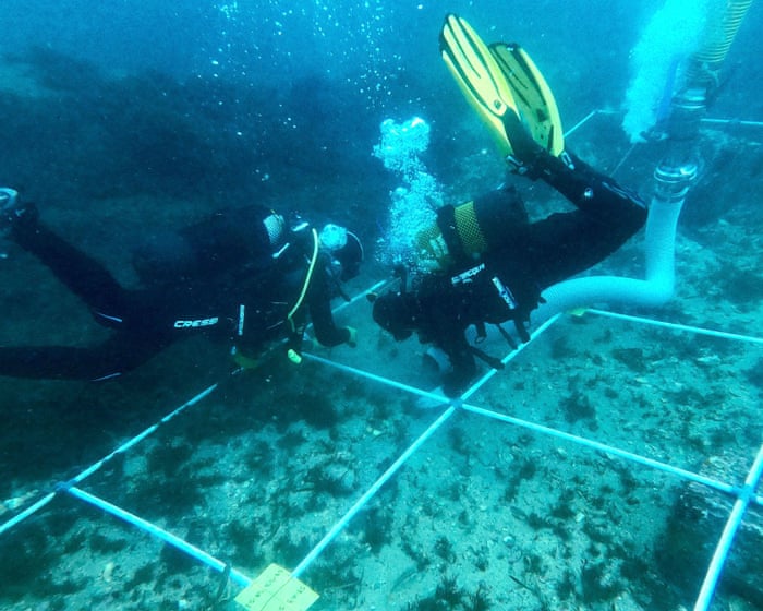 Spanish archaeologists have uncovered a collection of ancient shipwrecks in the Bay of Gibraltar, revealing a hidden trove of maritime history.
