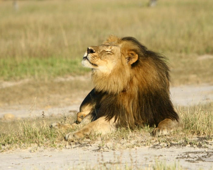 On the trail with hunters who believe that pursuing big game can help protect Africa's wildlife.