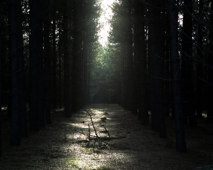 The Rendlesham Forest mystery: 'It's the perfect example of a UFO case.'