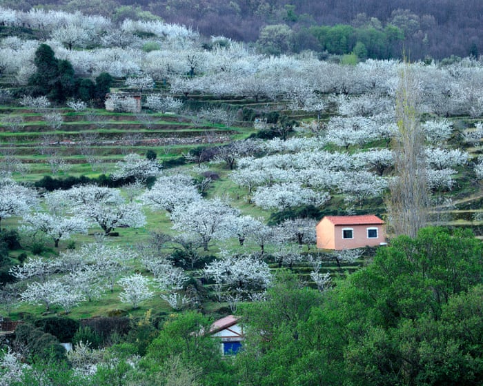 Espanjan konservatiivit elvyttävät alueellisia sopimuksia äärioikeistolaisen Vox-puolueen kanssa.