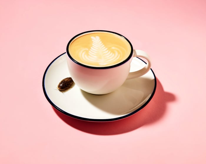 Help, there's a cockroach in my coffee! 16 disgusting ingredients hidden in your favorite foods.