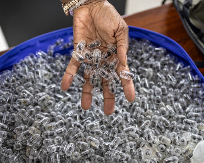 Smuggled in syringes: how Nairobi became a hub for the illegal trade in giant harvester ants.