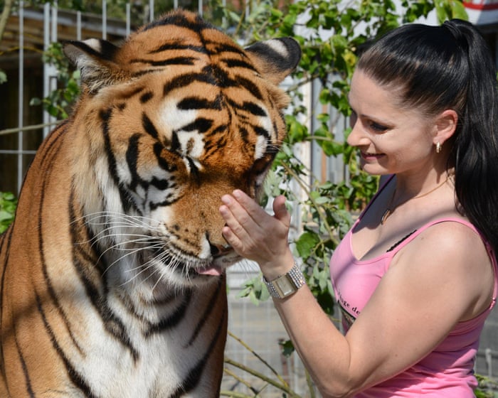A big cat owned by Germany's so-called 'Tiger Queen' escaped, breaking the quiet of a small town.