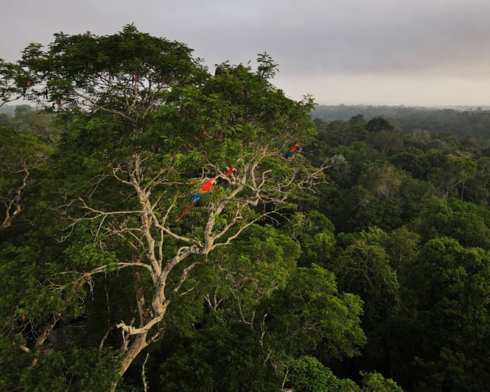 Can ecosystems "malfunction"?