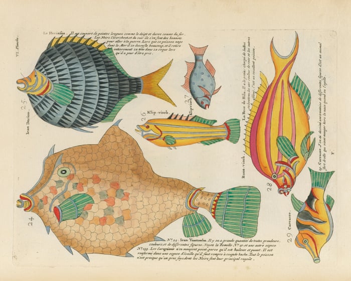 A treasure for nature lovers: a digital library sharing 64 million pages of scientific knowledge with everyone.
