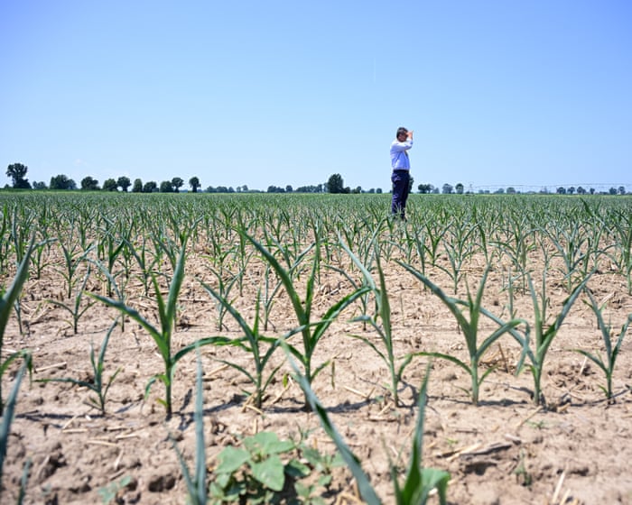 Europe's heatwave proves we must reject the lies of climate denial, says the EU's green chief.