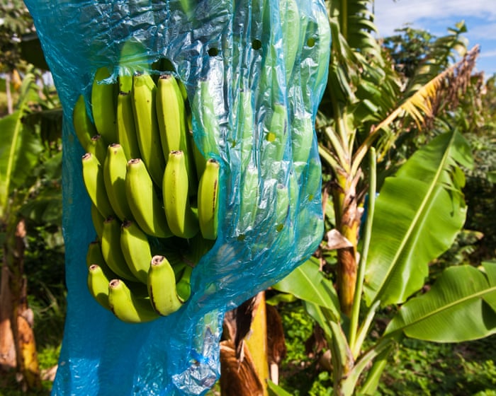 France is beginning to acknowledge its role in the slave trade. Now it must address its legacy in the Caribbean. — Marie-Annick Gournet