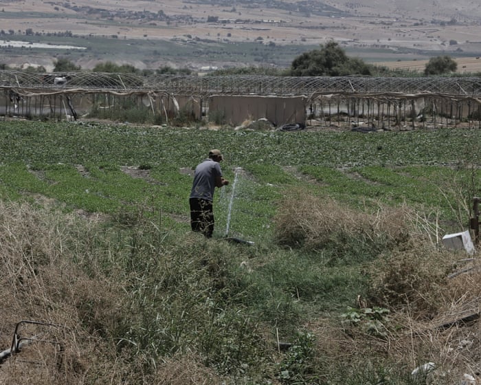 An investigation has found that products made by settlers in occupied Palestine are being sold in Europe as Israeli goods.