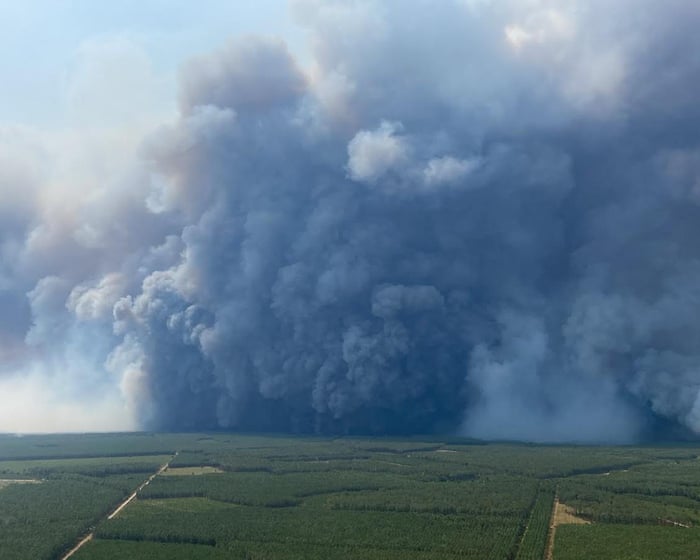 A 'fire cloud' is a type of cloud that forms above intense wildfires. It happens when the heat from the fire pushes smoke and moisture high into the air, creating a cloud that can even produce
