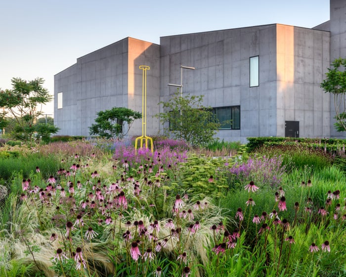 "If a space is cared for, everything improves": Meet four gardeners who are transforming their urban communities.