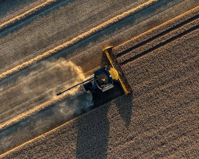 Europe's June heatwave caused €2 billion in lost revenue and crop damage for grain farmers.