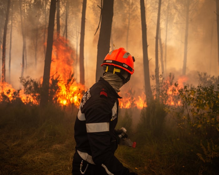 Will devastating wildfires finally push French leaders to take the climate crisis seriously?