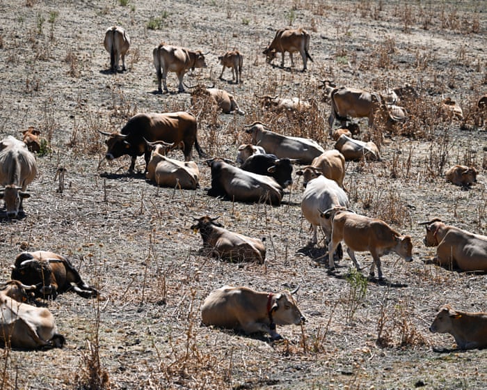 Western Europe just had its hottest June on record, as heatwaves become more intense.