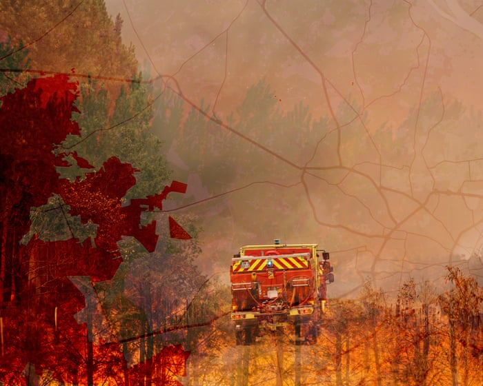 Pinecone grenades and carbon that bakes planets: the French fires 170 years in the making – a visual guide
