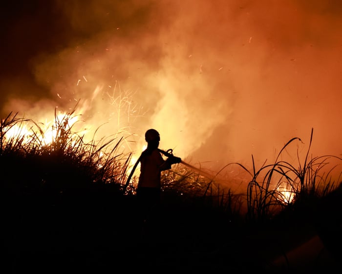 'Atemberaubender' El Niño bricht Temperaturrekorde Monate vor seinem Höhepunkt