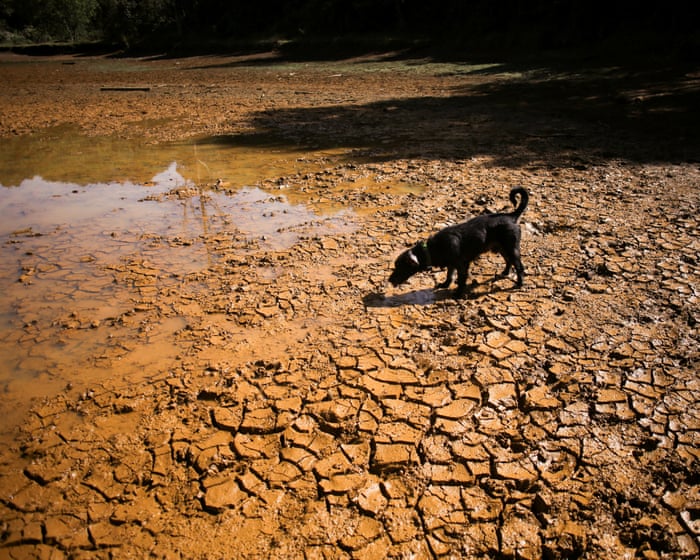 Qu'est-ce qu'El Niño, qu'est-ce qui le cause, et pouvons-nous réduire les risques ?