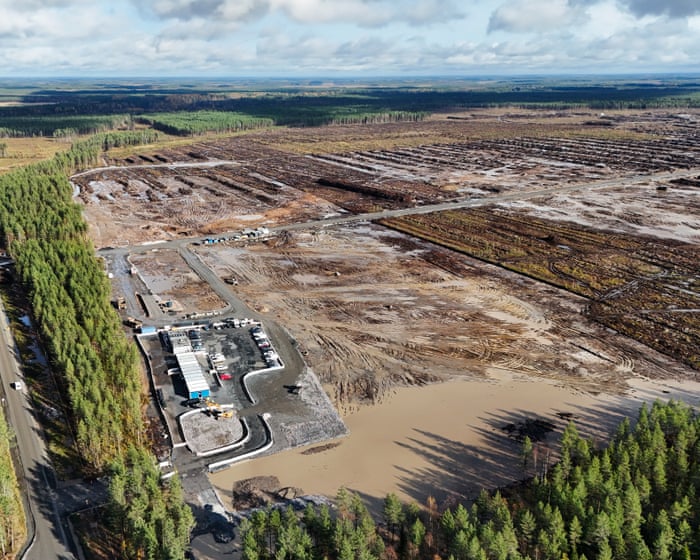 „Aroganță pură”: furie în Finlanda după ce Google a tăiat ilegal 250.000 de copaci pentru un centru de date