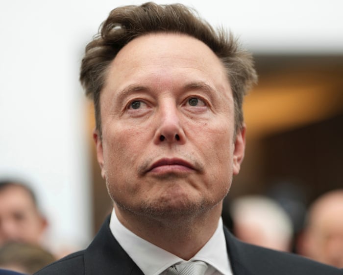 The French minister has accused Elon Musk of running online harassment campaigns against European leaders.
